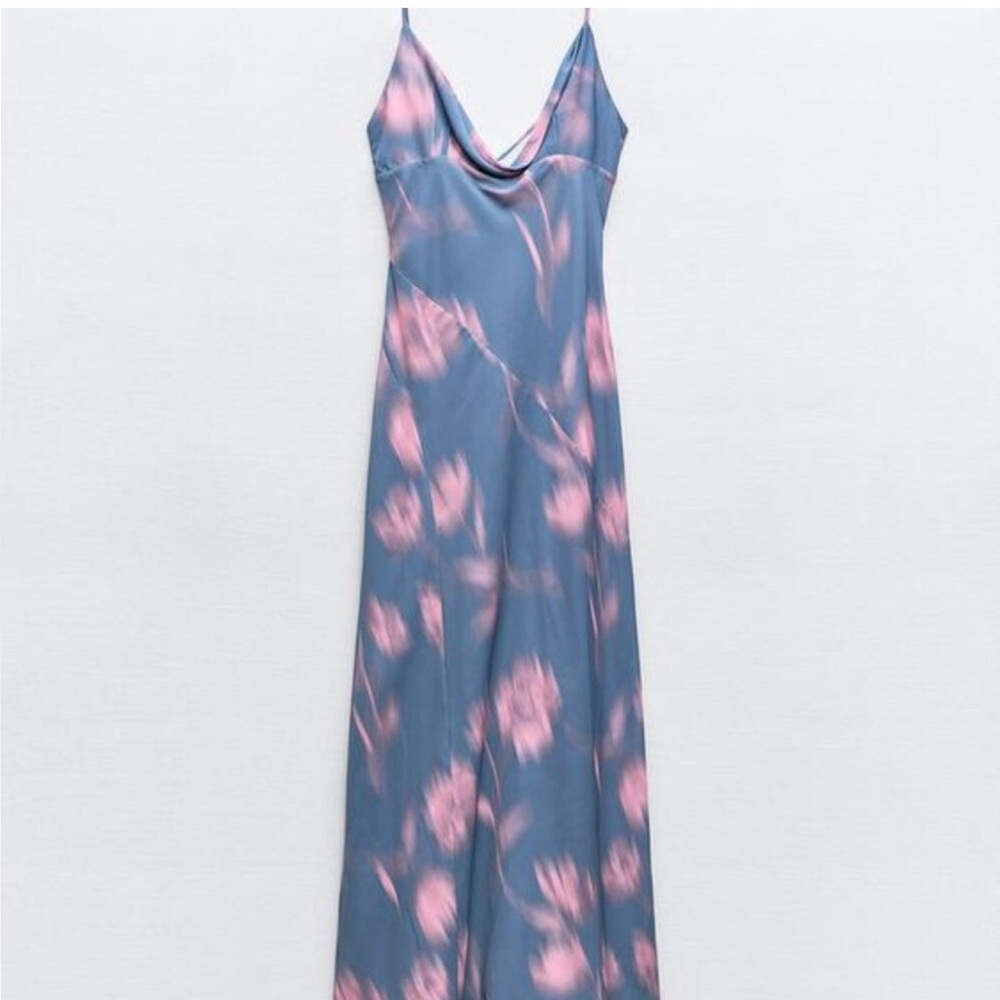 Zara Blue and Pink Floral Maxi Dress